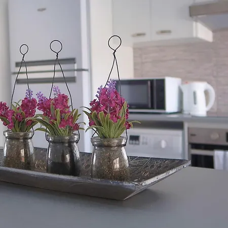 Apartament Elegant In City Center